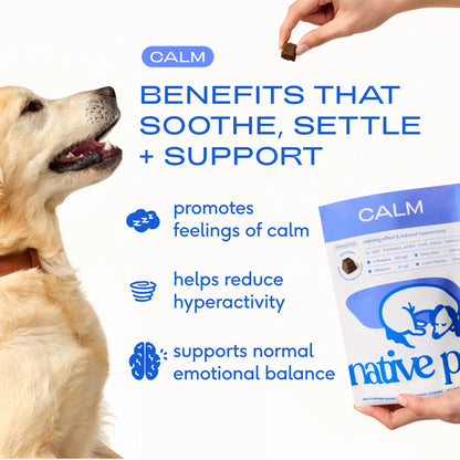 Native Pet Calming Chews for Dogs - Melatonin for Dogs Anxiety Relief - Grain Free All Natural Hemp Calming Treats & L-Theanine Helps Manage Stress & Separation Anxiety - Puppy Sleep Aid