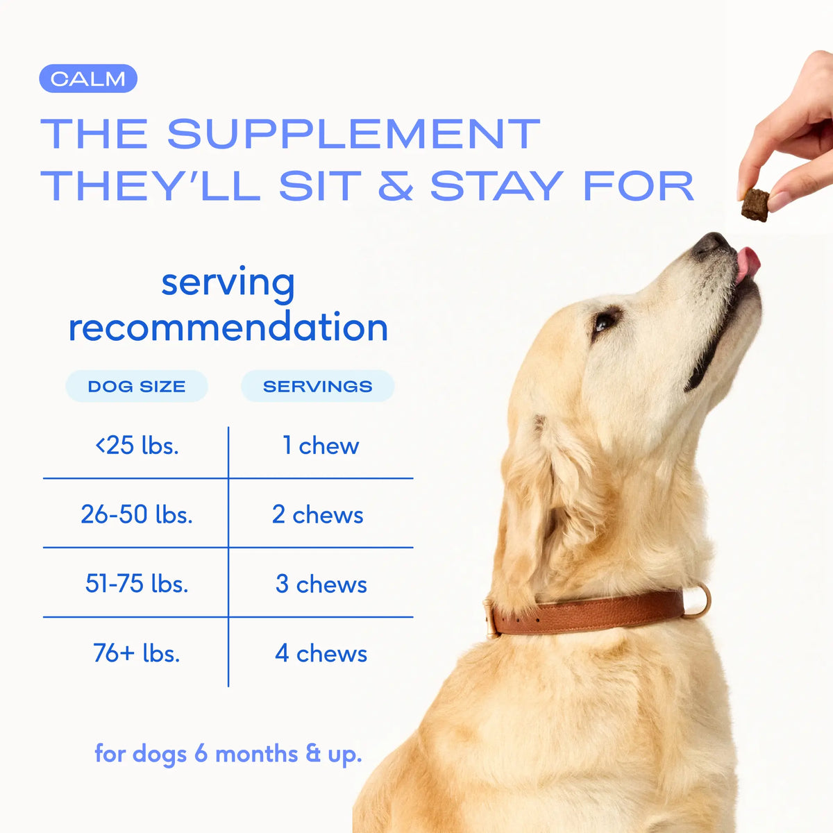 Native Pet Calming Chews for Dogs - Melatonin for Dogs Anxiety Relief - Grain Free All Natural Hemp Calming Treats & L-Theanine Helps Manage Stress & Separation Anxiety - Puppy Sleep Aid